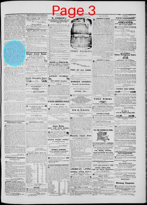 Page thumbnail for The Placer Herald