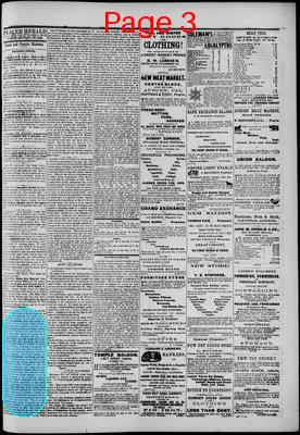 Page thumbnail for The Placer Herald