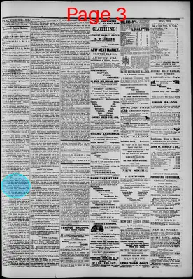 Page thumbnail for The Placer Herald
