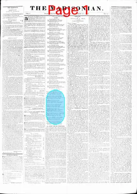 Page thumbnail for The Madisonian