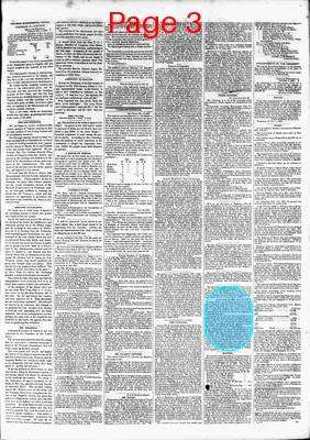 Page thumbnail for The Madisonian