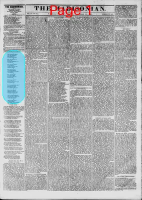 Page thumbnail for The Madisonian