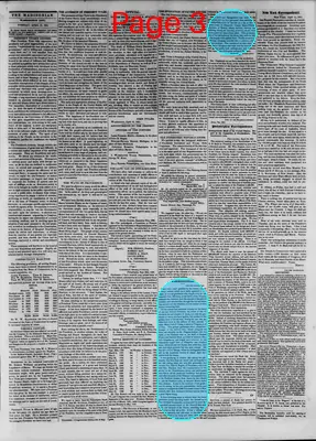 Page thumbnail for The Madisonian