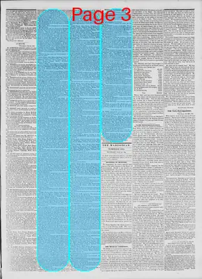 Page thumbnail for The Madisonian