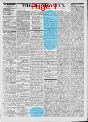 Page thumbnail for The Madisonian