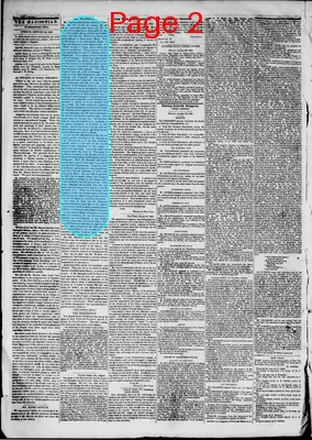 Page thumbnail for The Madisonian