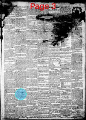 Page thumbnail for The Examiner