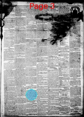 Page thumbnail for The Examiner