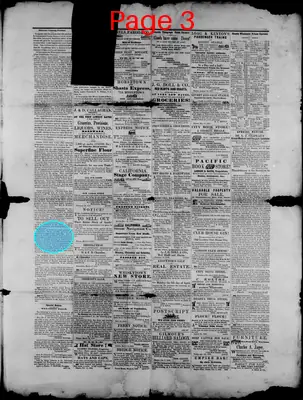 Page thumbnail for The Shasta Courier