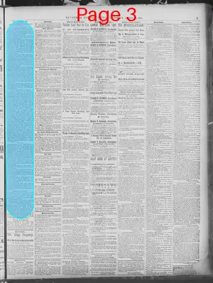 Page thumbnail for Savannah Morning News