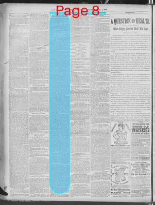 Page thumbnail for Savannah Morning News