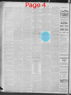 Page thumbnail for Savannah Morning News
