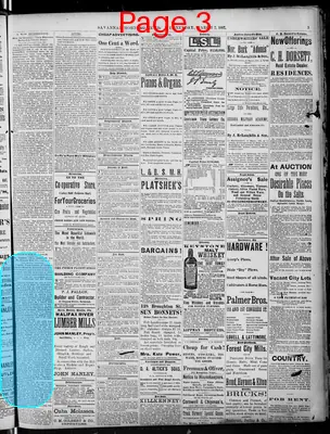 Page thumbnail for Savannah Morning News