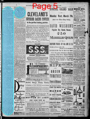 Page thumbnail for Savannah Morning News