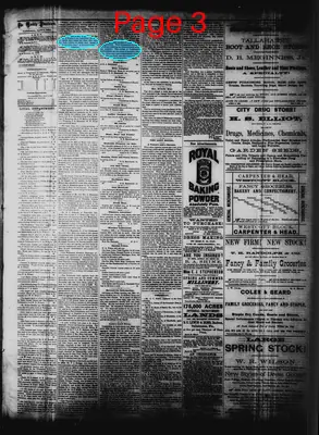 Page thumbnail for The Weekly Floridian