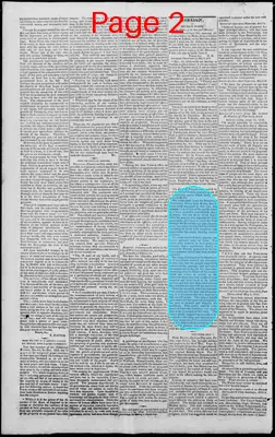 Page thumbnail for Edwardsville Spectator