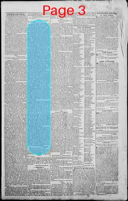 Page thumbnail for Edwardsville Spectator