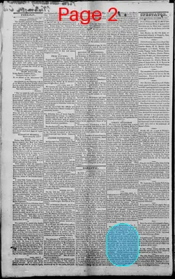 Page thumbnail for Edwardsville Spectator