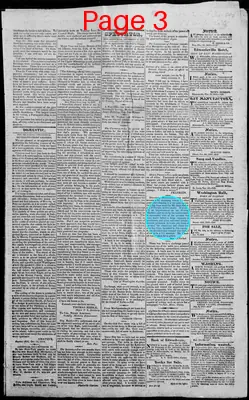 Page thumbnail for Edwardsville Spectator