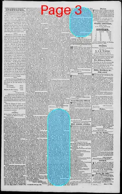 Page thumbnail for Edwardsville Spectator