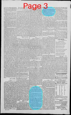 Page thumbnail for Edwardsville Spectator