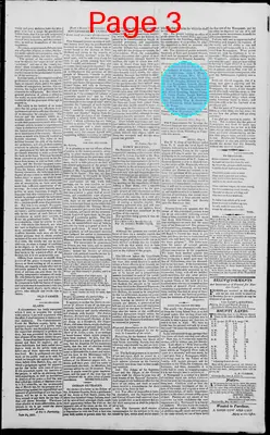 Page thumbnail for Edwardsville Spectator