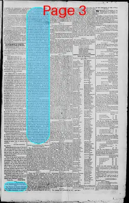 Page thumbnail for Edwardsville Spectator