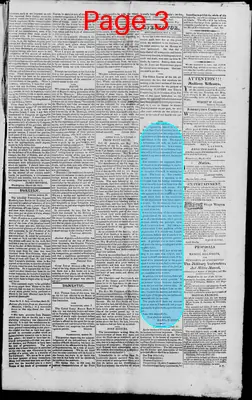 Page thumbnail for Edwardsville Spectator