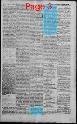 Page thumbnail for Edwardsville Spectator