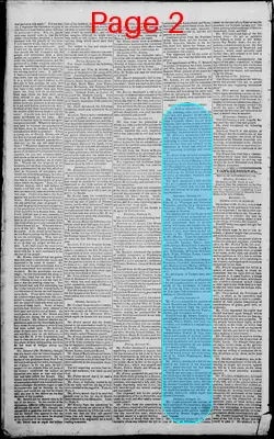 Page thumbnail for Edwardsville Spectator