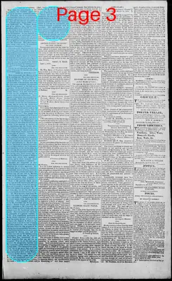Page thumbnail for Edwardsville Spectator
