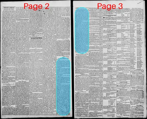 Page thumbnail for Edwardsville Spectator