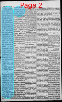 Page thumbnail for Edwardsville Spectator