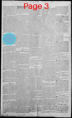 Page thumbnail for Edwardsville Spectator