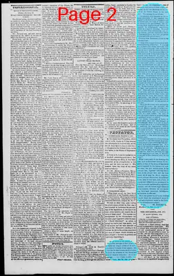 Page thumbnail for Edwardsville Spectator