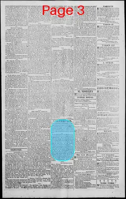 Page thumbnail for Edwardsville Spectator