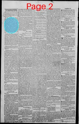 Page thumbnail for Edwardsville Spectator