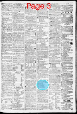 Page thumbnail for The Daily Crescent