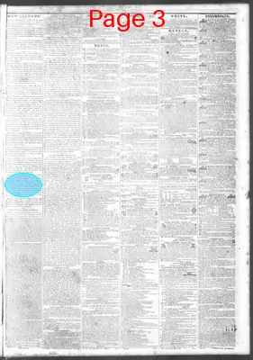 Page thumbnail for The Daily Crescent
