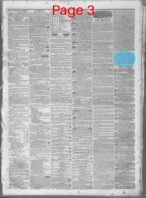 Page thumbnail for The Daily Crescent