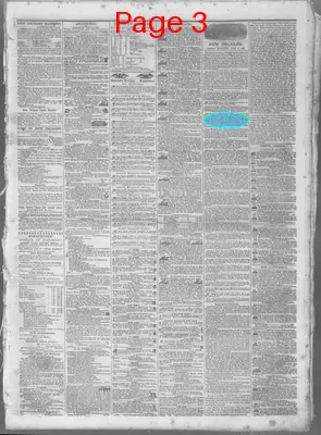 Page thumbnail for The Daily Crescent