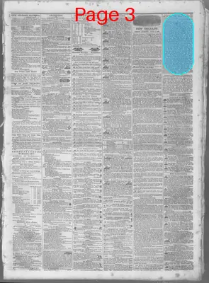 Page thumbnail for The Daily Crescent