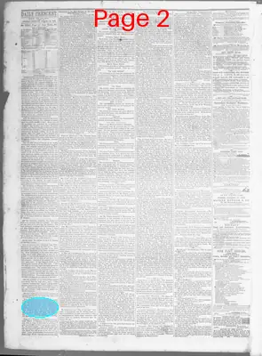 Page thumbnail for The Daily Crescent