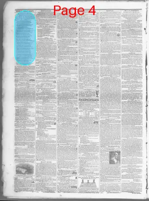 Page thumbnail for The Daily Crescent