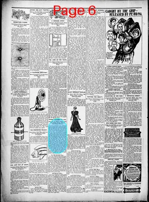 Page thumbnail for St. Tammany Farmer