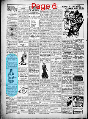 Page thumbnail for St. Tammany Farmer