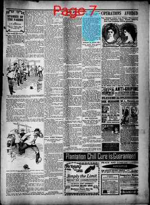 Page thumbnail for St. Tammany Farmer