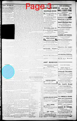 Page thumbnail for The Idaho World