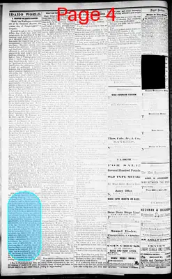 Page thumbnail for The Idaho World