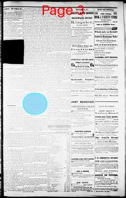 Page thumbnail for The Idaho World